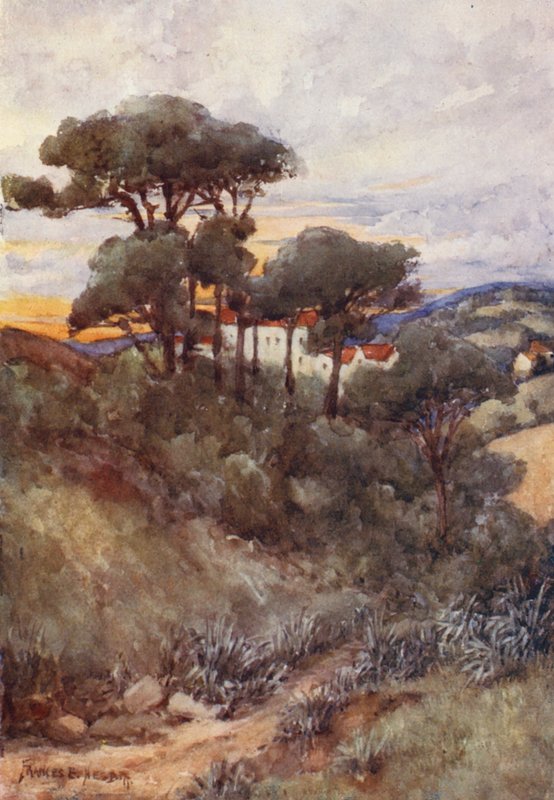  av Frances Nesbitt