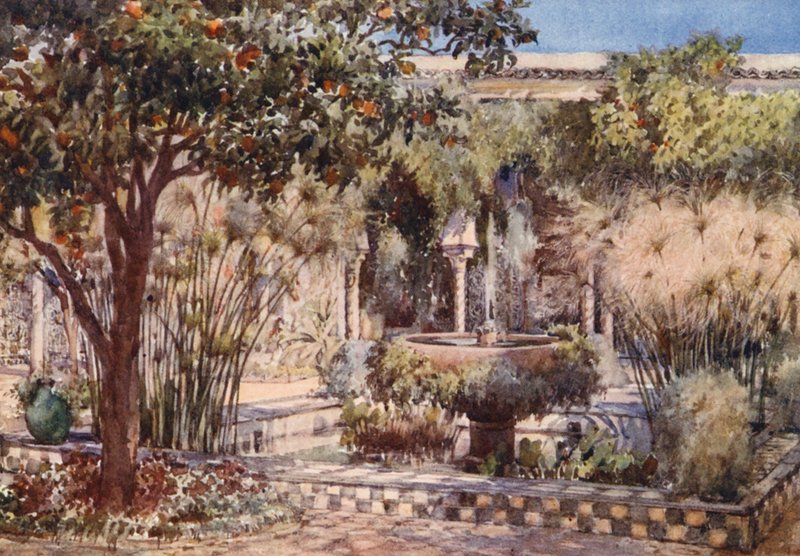  av Frances Nesbitt