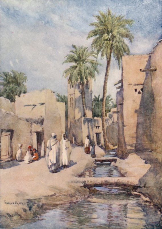 Oasen Biskra, Algerie av Frances Nesbitt