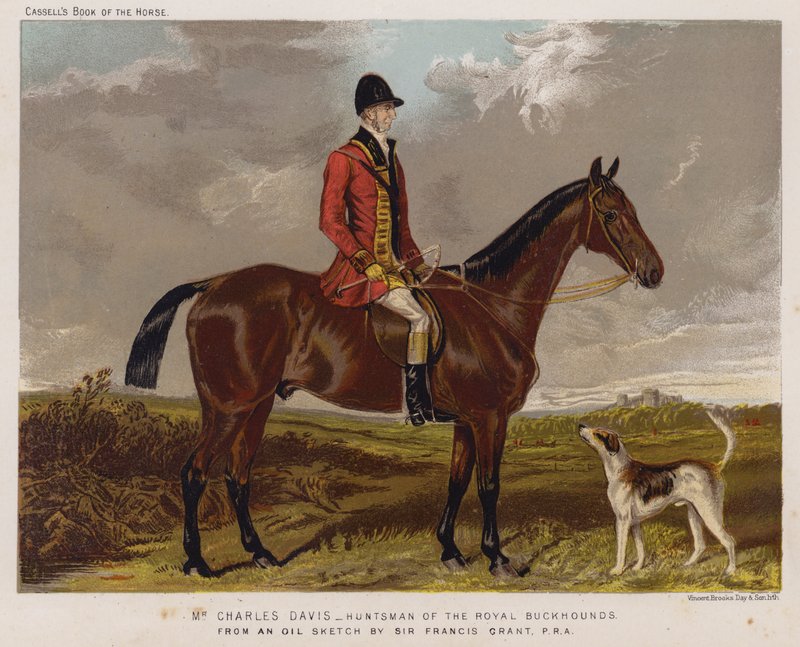 Mr Charles Davis, Huntsman of the Royal Buckhounds av Francis Grant