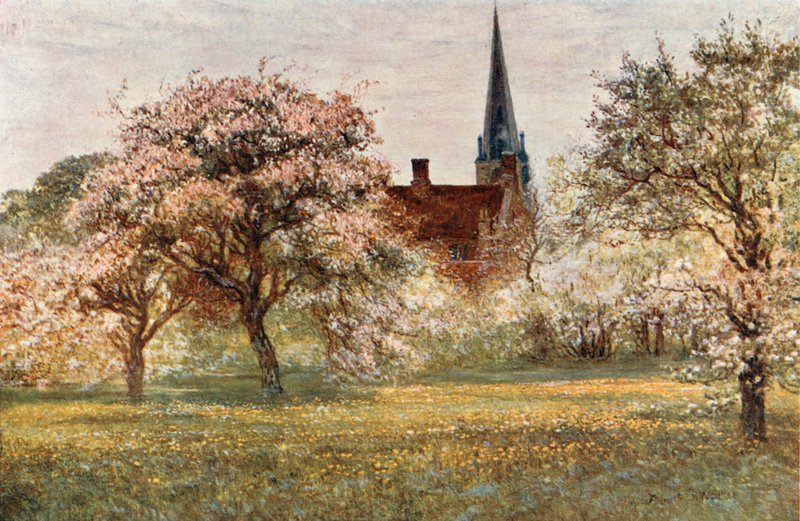 Olney av Francis S. Walker