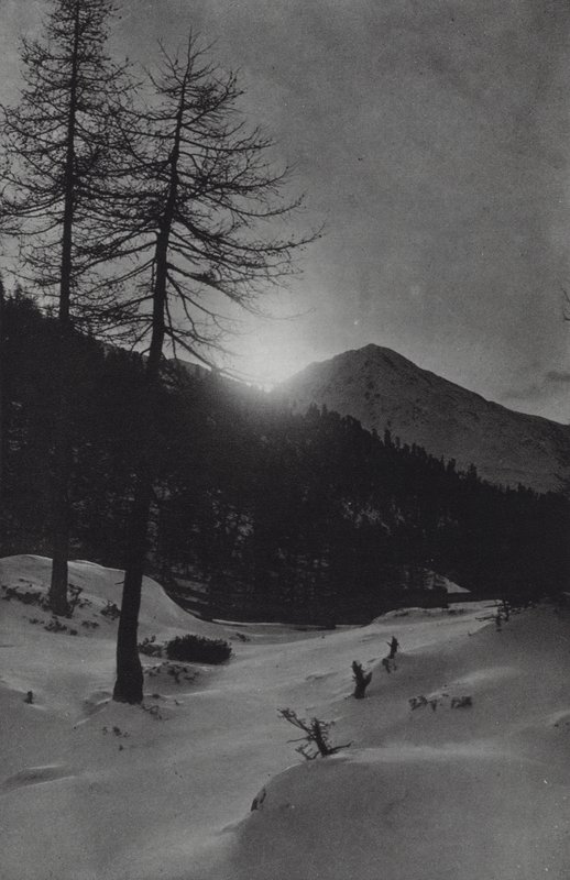Alpene: nær Obergurgl (s/hvitt bilde) av Francis Sydney Smythe