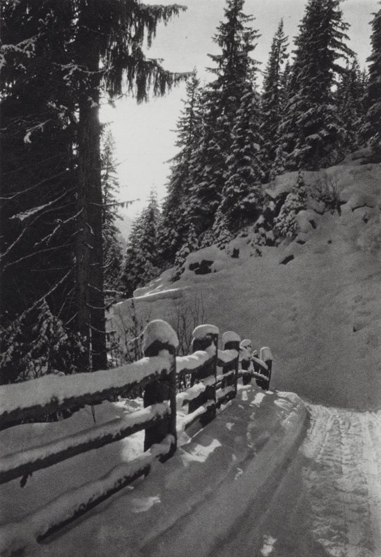 Alpene: Vintermorgen, nær St Anton (s/hvitt bilde) av Francis Sydney Smythe