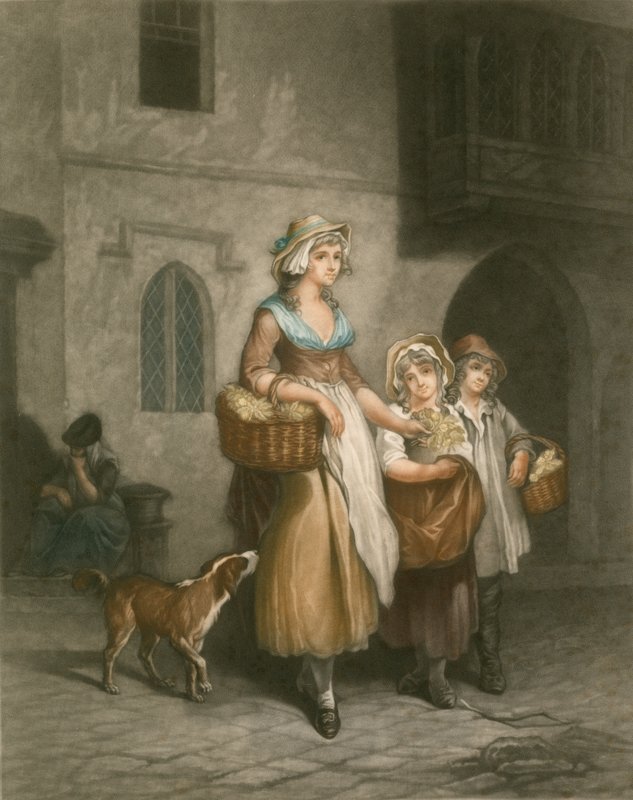 Primroser av Francis Wheatley