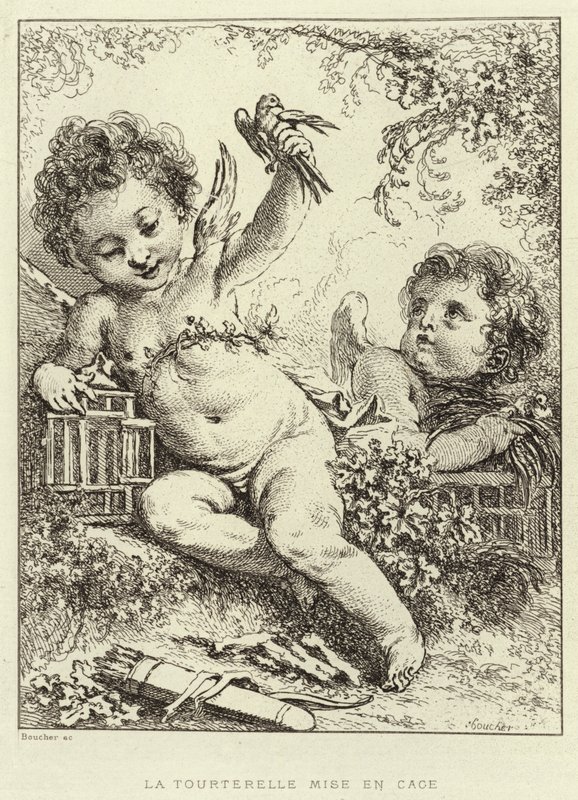 The Caged Dove (gravering) av Francois (after) Boucher