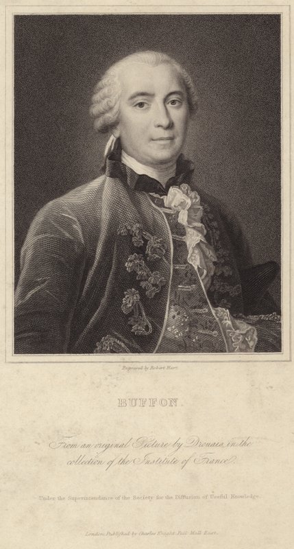 Portrett av Georges-Louis Leclerc, greve av Buffon av Francois Hubert Drouais