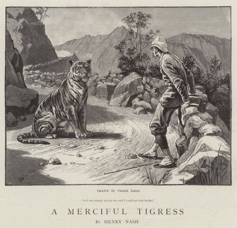 En barmhjertig Tigress av Frank Dadd