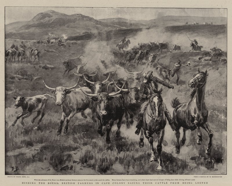 Utvasking av boerne, britiske bønder i Cape Colony reddet storfeet deres fra å bli plyndret av Frank Dadd