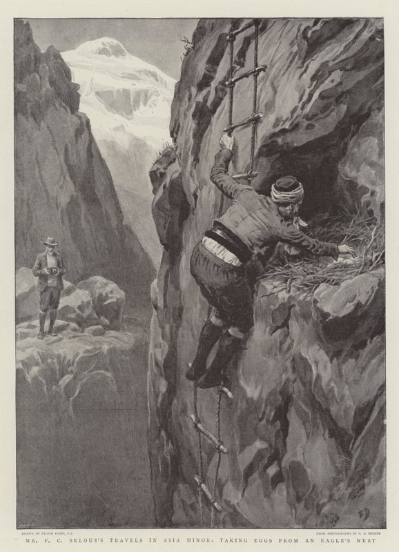 Mr F C Selous reiser i Lilleasia, tar egg fra et ørnerede av Frank Dadd