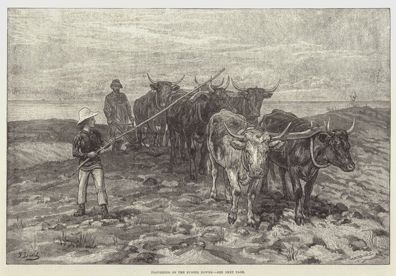 Pløyer på Sussex Downs av Frank Dadd