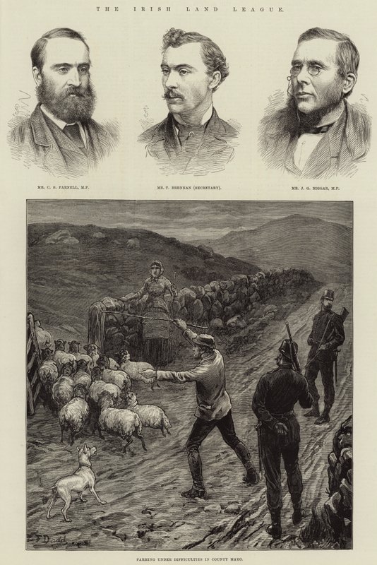 Den irske landligaen av Frank Dadd