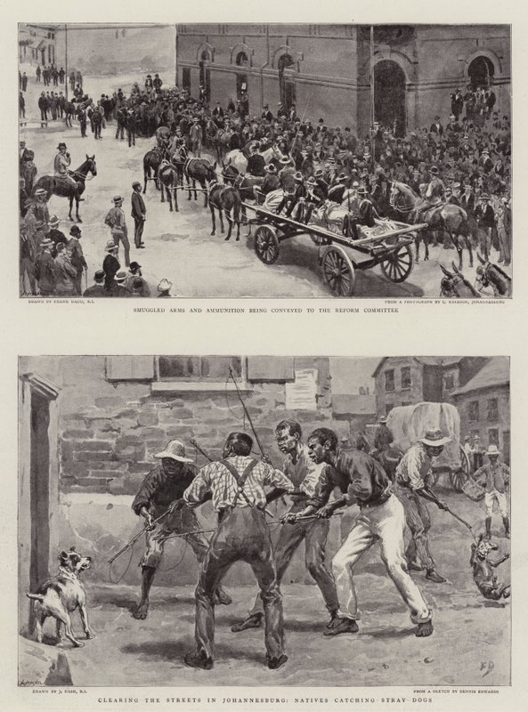 Transvaal-krisen av Frank Dadd