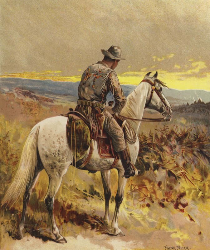 En speider - Nord-Amerika av Frank Feller