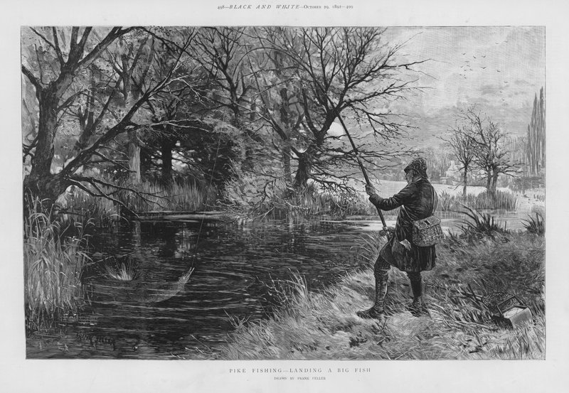 Gjeddefisker som lander en stor fisk (litho) av Frank (after) Feller