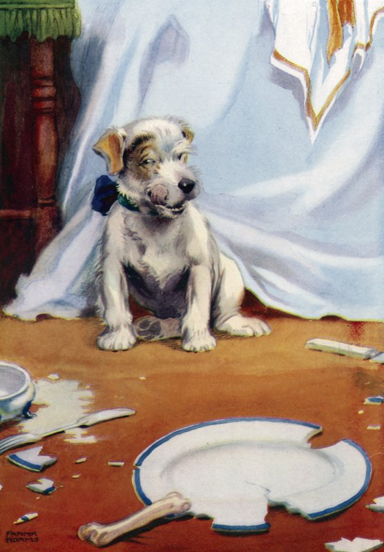 Hund med ødelagt tallerken av Frank Adams