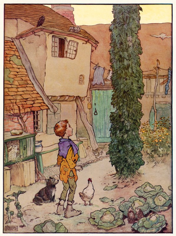 Jack and the Beanstalk (farge litho) av Frank Adams