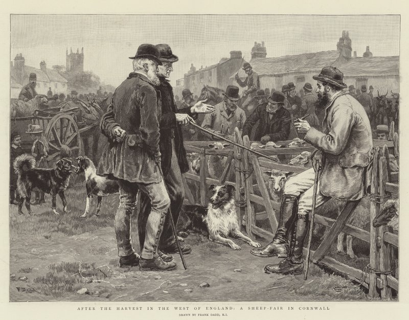 Etter innhøstingen i Vest-England, en sauemesse i Cornwall av Frank Dadd