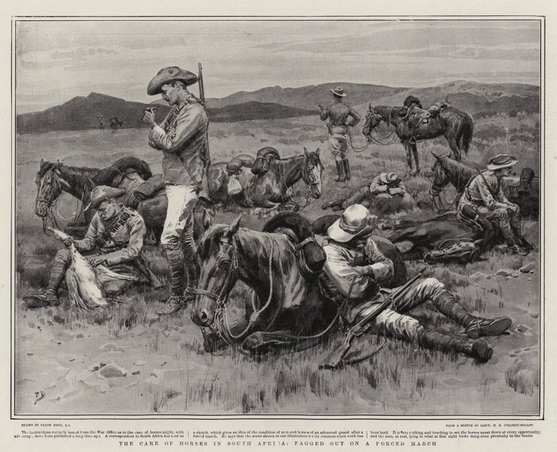 The Care of Horses i Sør-Afrika, tråkket ut på en tvangsmarsj av Frank Dadd