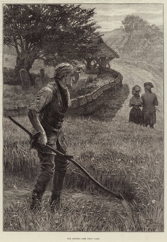 Gressklipperen av Frank Dadd