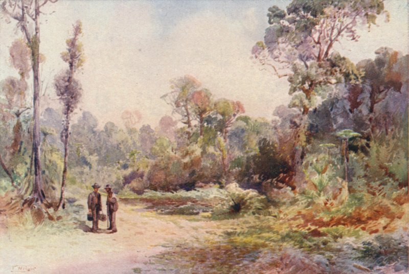  av Frank H Wright