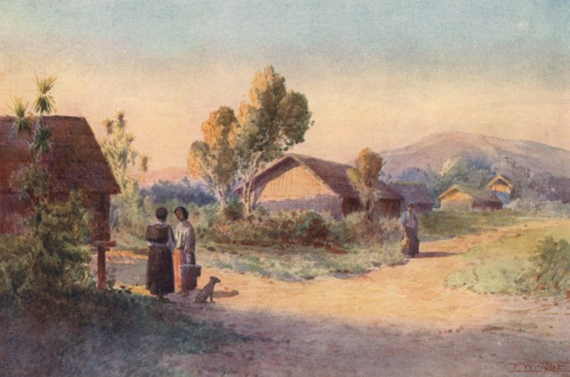  av Frank H Wright