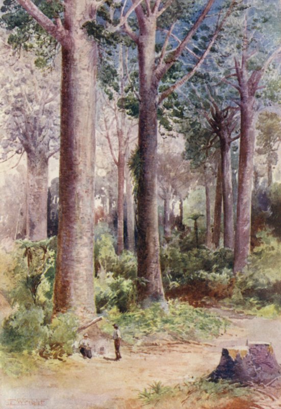  av Frank H Wright