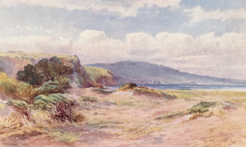  av Frank H Wright