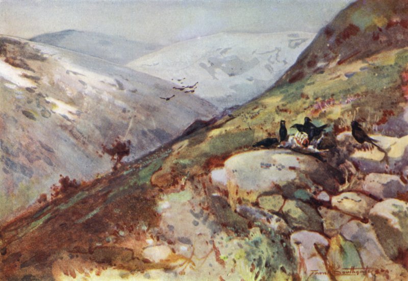 Nær Kielder (farge litho) av Frank Southgate