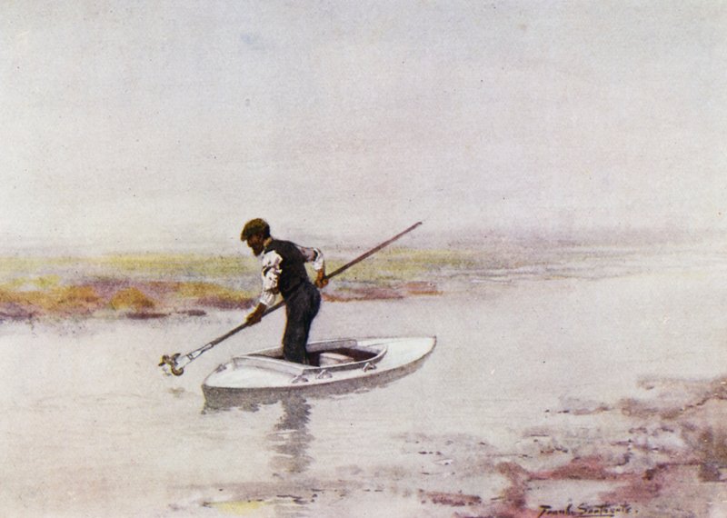 Norfolk Broads: Åleplukking av Frank Southgate