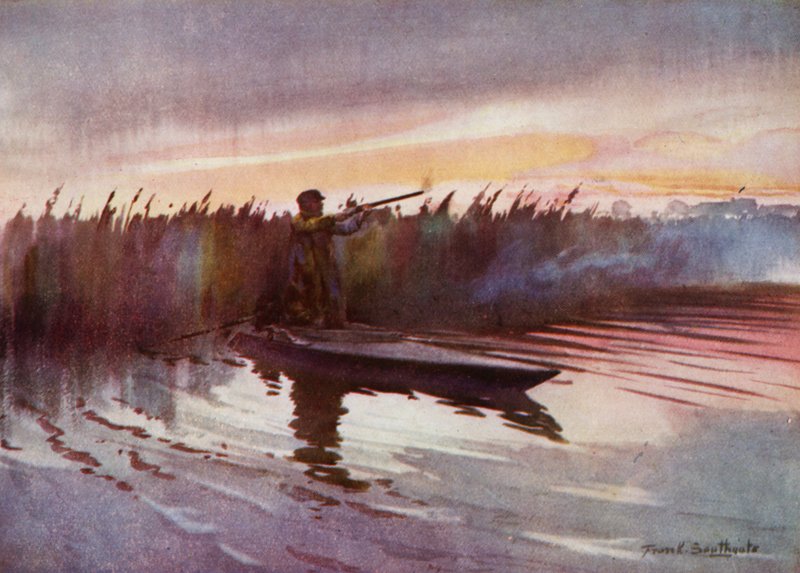 Norfolk Broads: Flight-Shooting (farge litho) av Frank Southgate