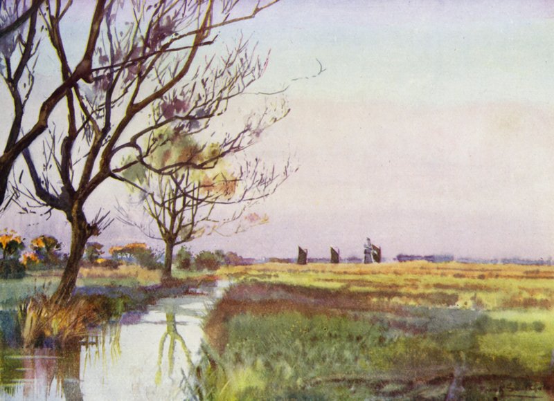 Norfolk Broads: Marshland nær Barton (farge litho) av Frank Southgate