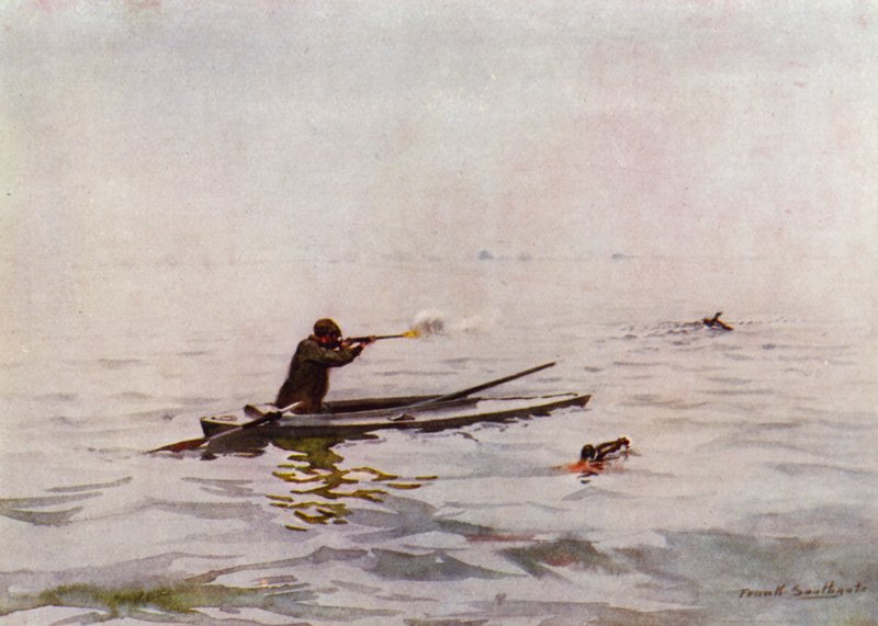 Norfolk Broads: Punt-Gunning på Breydon (farge litho) av Frank Southgate