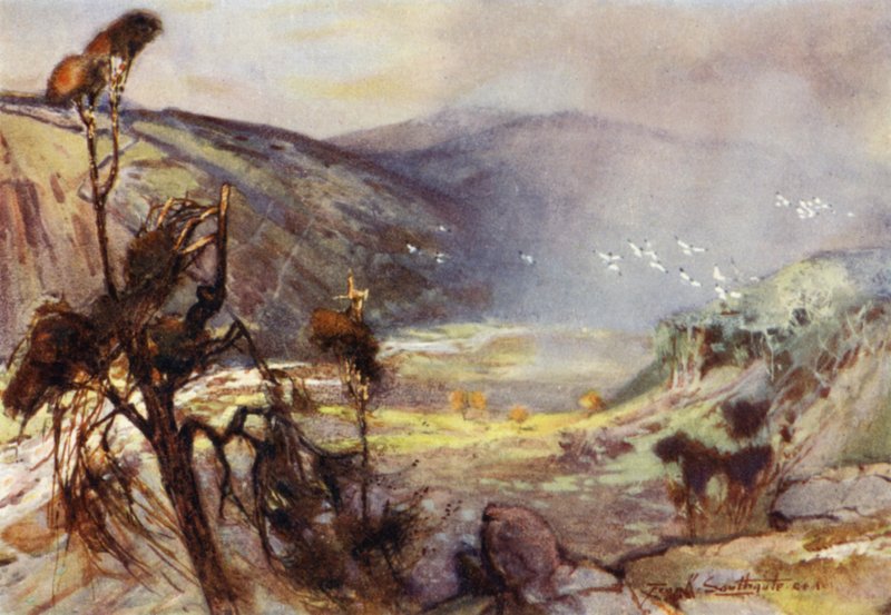Storm in the Cheviots (farge litho) av Frank Southgate