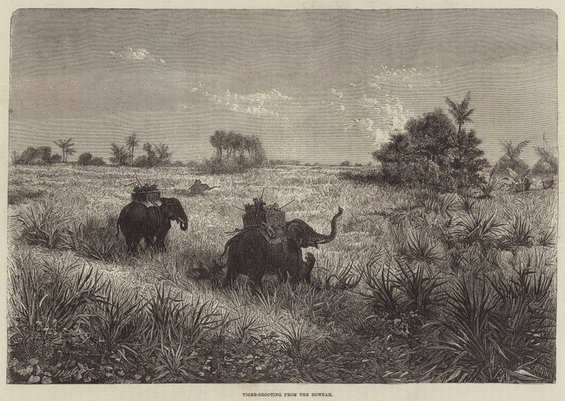 India og prinsen av Wales, tigerskyting fra Howdah av Frederic Theodore Lix