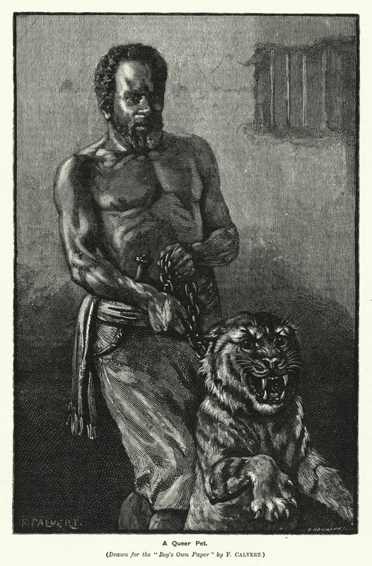 Et Queer Pet (gravering) av Frederick (after) Calvert