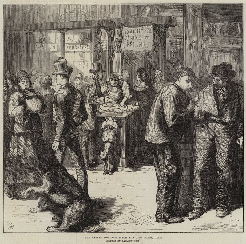 Markedet for hundekjøtt og kattekjøtt, Paris av Frederick Barnard