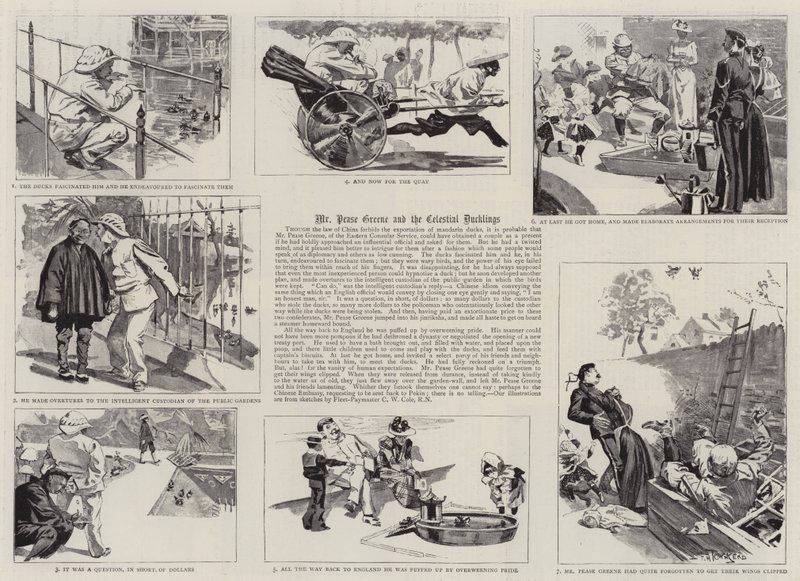 Mr Pease Greene and the Celestial Ducklings (gravering) av Frederick Henry Townsend