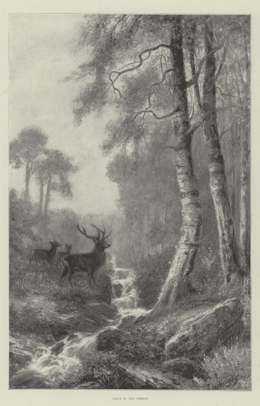 Daggry i skogen av Frederick William Hayes