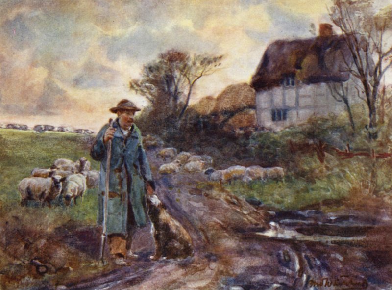 Beggarly Broom av Frederick William Newton Whitehead
