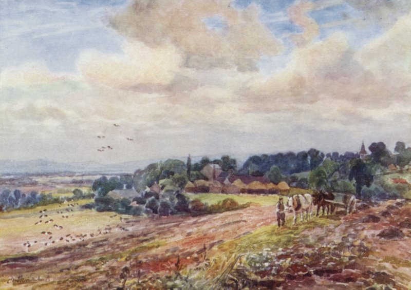 Sulten Grafton av Frederick William Newton Whitehead