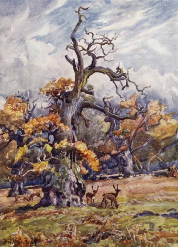 Packington Park av Frederick William Newton Whitehead