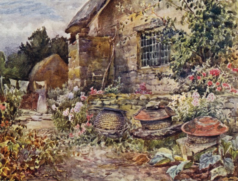 Winderton av Frederick William Newton Whitehead