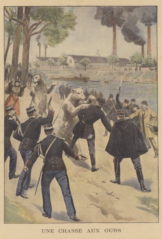 En bjørnejakt i Paris av French School