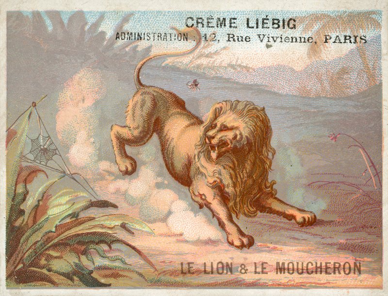 Løven og myggen av French School