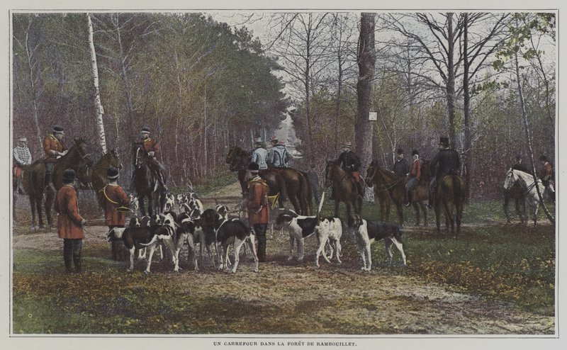 Et veiskille i Foret de Rambouillet, Frankrike (fargebilde) av French Photographer