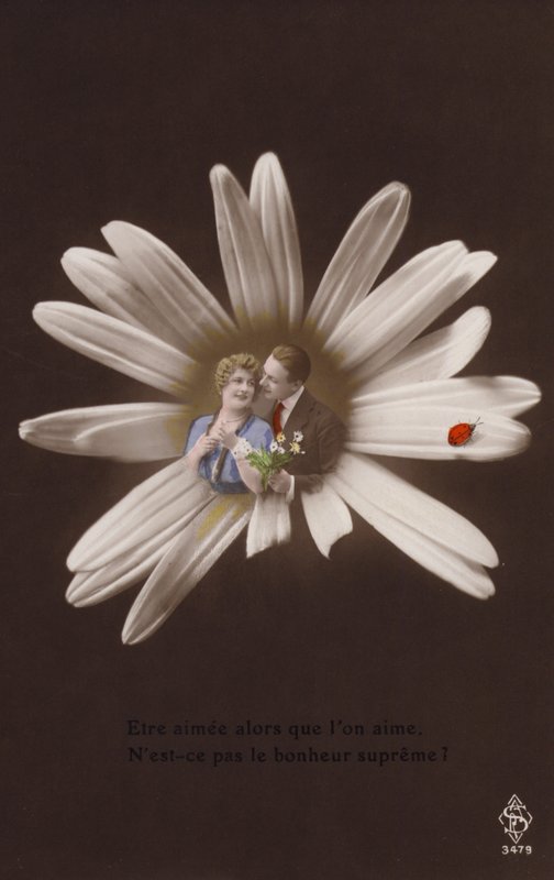 Et ungt par i midten av en blomst med marihøne (tonet fotokollasje) av French Photographer