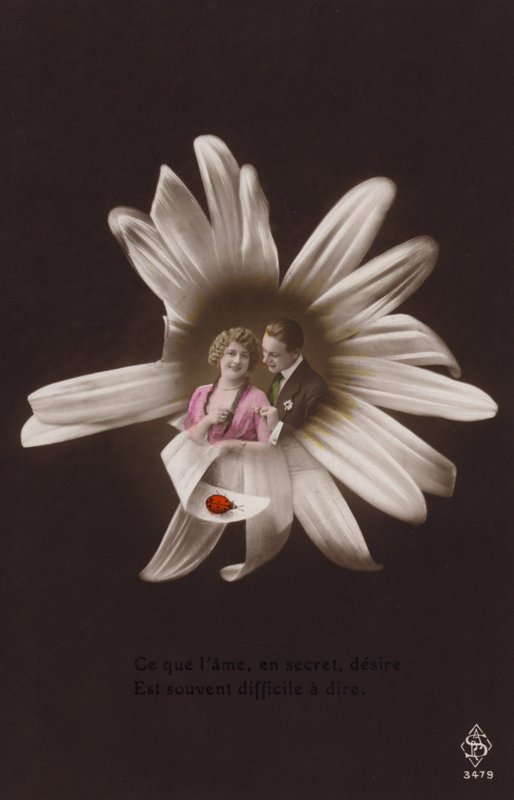 Et ungt par i midten av en blomst med marihøne (tonet fotokollasje) av French Photographer