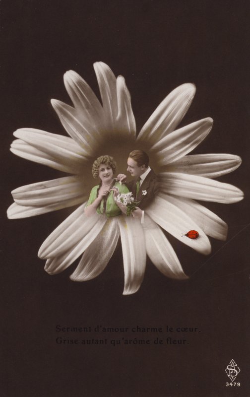 Et ungt par i midten av en blomst med marihøne (tonet fotokollasje) av French Photographer