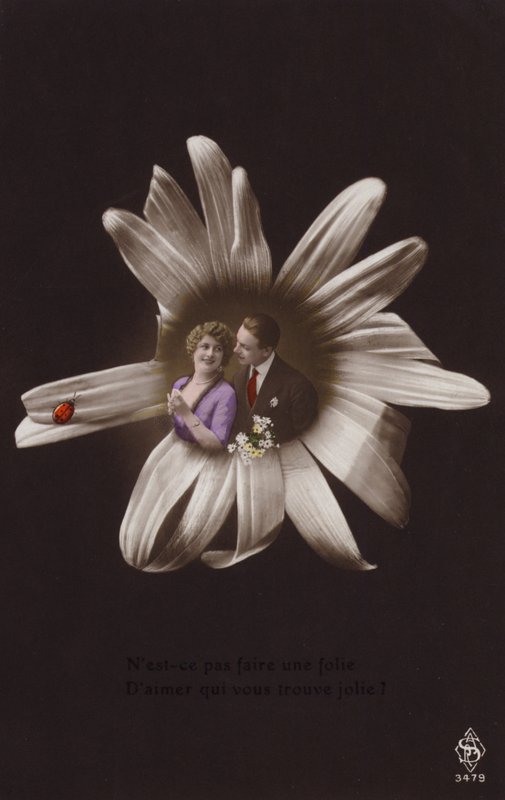 Et ungt par i midten av en blomst med marihøne (tonet fotokollasje) av French Photographer
