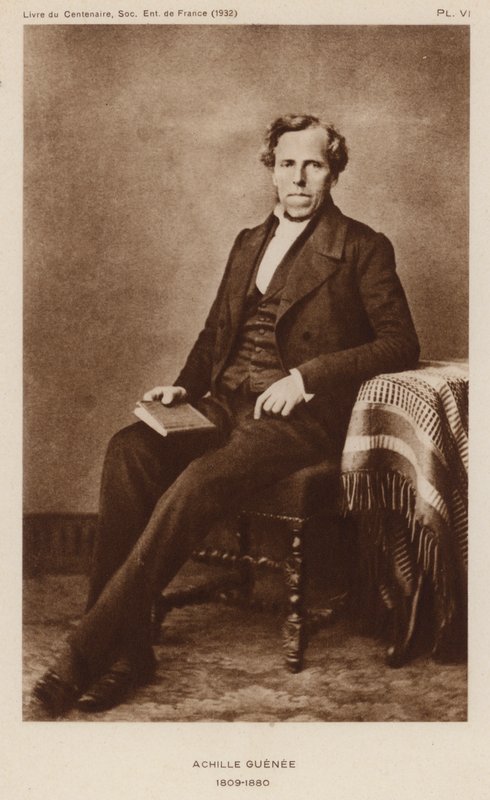 Achhille Guenee , fransk entomolog (s/hvitt bilde) av French Photographer
